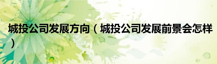 城投公司发展方向（城投公司发展前景会怎样）