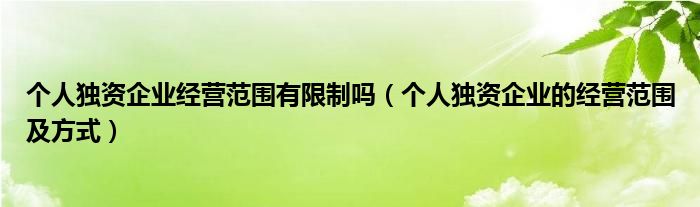 个人独资企业经营范围有限制吗（个人独资企业的经营范围及方式）