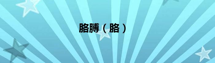 胳膊（胳）
