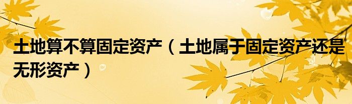 土地算不算固定资产（土地属于固定资产还是无形资产）