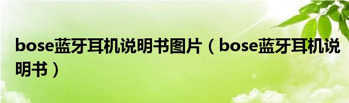 bose蓝牙耳机说明书图片（bose蓝牙耳机说明书）