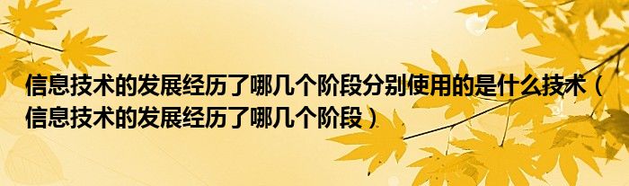 信息技术的发展经历了哪几个阶段分别使用的是什么技术（信息技术的发展经历了哪几个阶段）