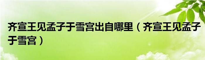 齐宣王见孟子于雪宫出自哪里（齐宣王见孟子于雪宫）