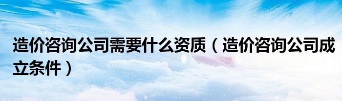 造价咨询公司需要什么资质（造价咨询公司成立条件）