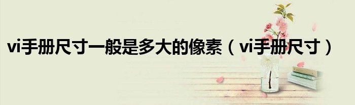 vi手册尺寸一般是多大的像素（vi手册尺寸）