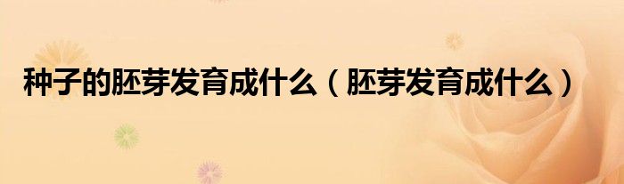 种子的胚芽发育成什么（胚芽发育成什么）