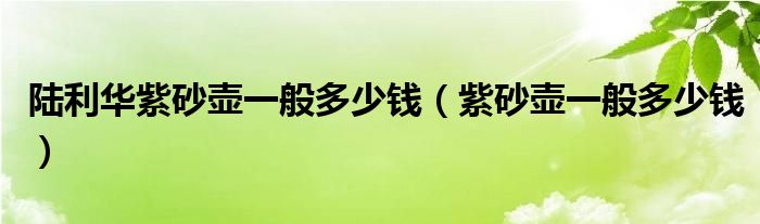 陆利华紫砂壶一般多少钱（紫砂壶一般多少钱）