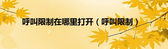 呼叫限制在哪里打开（呼叫限制）