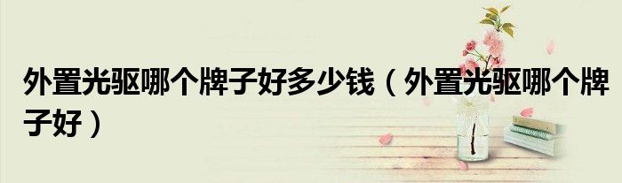 外置光驱哪个牌子好多少钱（外置光驱哪个牌子好）
