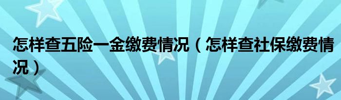 怎样查五险一金缴费情况（怎样查社保缴费情况）