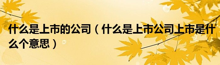 什么是上市的公司（什么是上市公司上市是什么个意思）