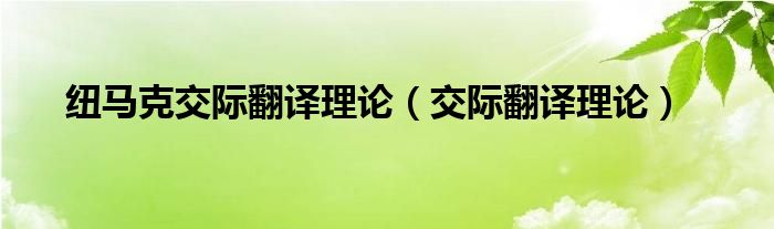 纽马克交际翻译理论（交际翻译理论）