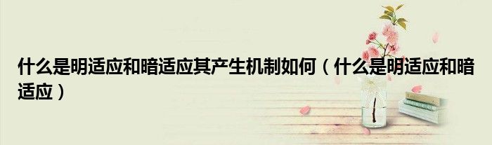 什么是明适应和暗适应其产生机制如何（什么是明适应和暗适应）