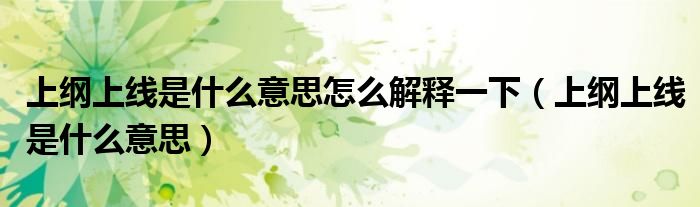 上纲上线是什么意思怎么解释一下（上纲上线是什么意思）