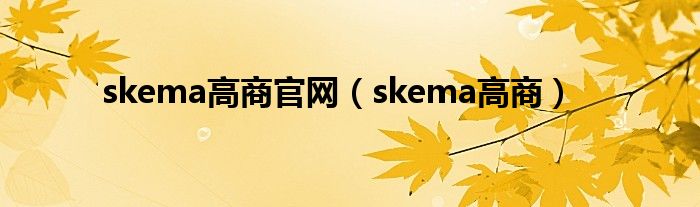 skema高商官网（skema高商）