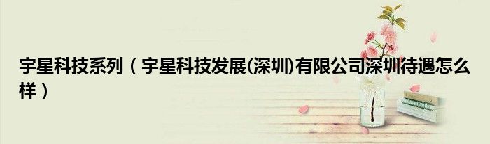 宇星科技系列（宇星科技发展(深圳)有限公司深圳待遇怎么样）