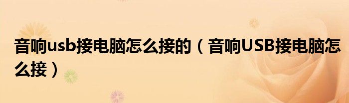 音响usb接电脑怎么接的（音响USB接电脑怎么接）