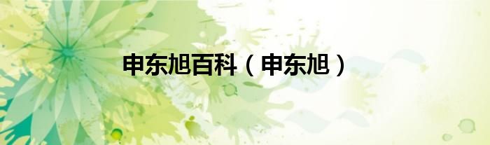 申东旭百科（申东旭）