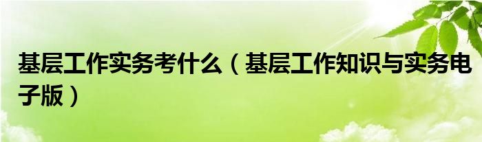 基层工作实务考什么（基层工作知识与实务电子版）