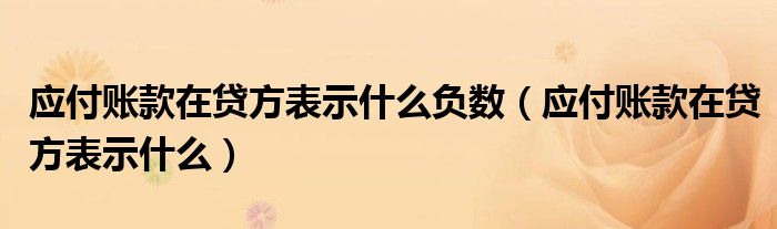 应付账款在贷方表示什么负数（应付账款在贷方表示什么）