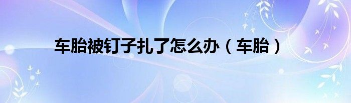 车胎被钉子扎了怎么办（车胎）