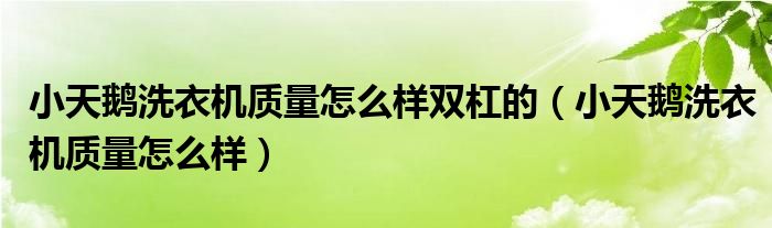 小天鹅洗衣机质量怎么样双杠的（小天鹅洗衣机质量怎么样）