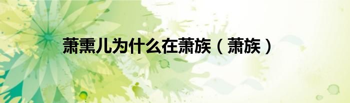 萧熏儿为什么在萧族（萧族）