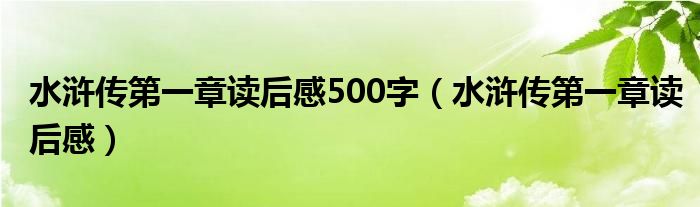水浒传第一章读后感500字（水浒传第一章读后感）