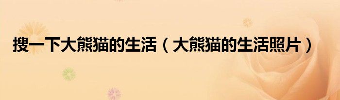 搜一下大熊猫的生活（大熊猫的生活照片）