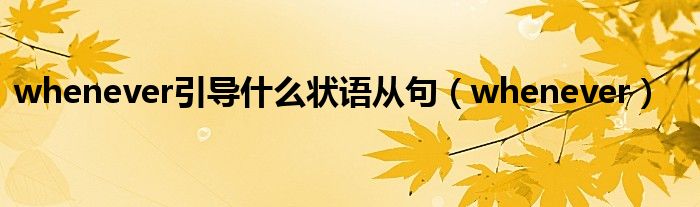 whenever引导什么状语从句（whenever）