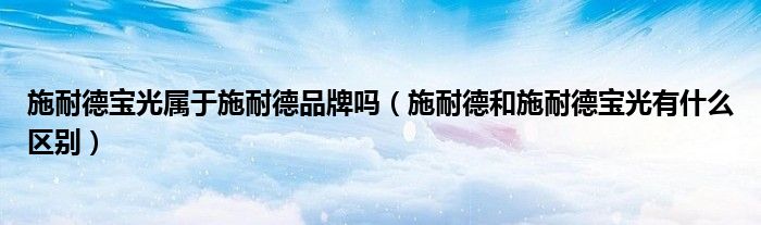 施耐德宝光属于施耐德品牌吗（施耐德和施耐德宝光有什么区别）