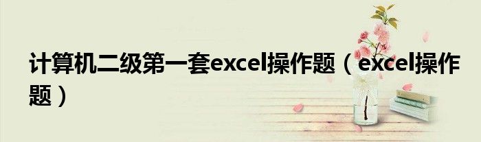 计算机二级第一套excel操作题（excel操作题）
