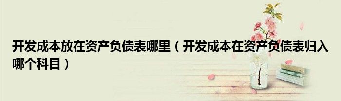 开发成本放在资产负债表哪里（开发成本在资产负债表归入哪个科目）