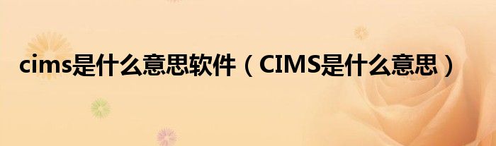 cims是什么意思软件（CIMS是什么意思）