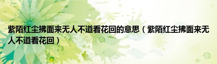 紫陌红尘拂面来无人不道看花回的意思（紫陌红尘拂面来无人不道看花回）