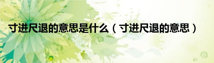 寸进尺退的意思是什么（寸进尺退的意思）