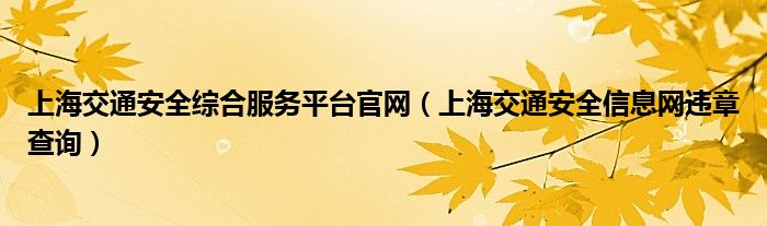 上海交通安全综合服务平台官网（上海交通安全信息网违章查询）