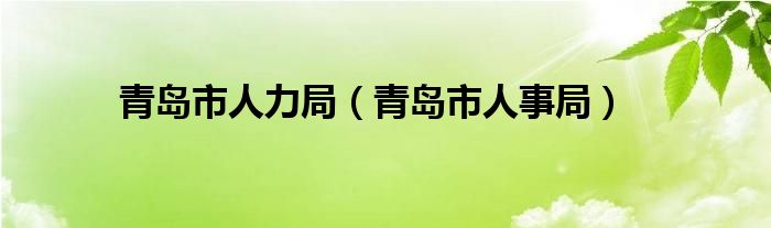 青岛市人力局（青岛市人事局）