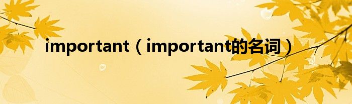 important（important的名词）