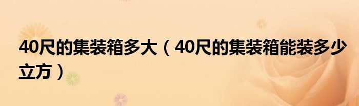40尺的集装箱多大（40尺的集装箱能装多少立方）