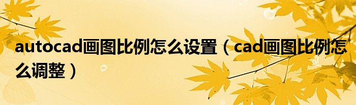 autocad画图比例怎么设置（cad画图比例怎么调整）