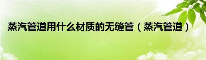 蒸汽管道用什么材质的无缝管（蒸汽管道）