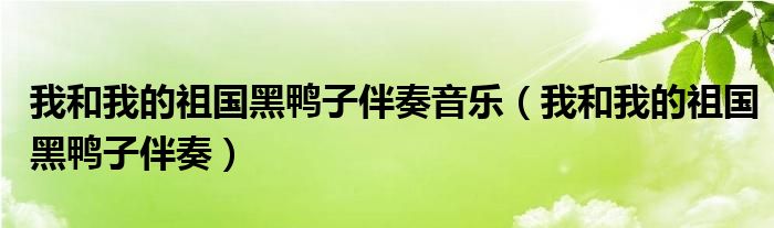 我和我的祖国黑鸭子伴奏音乐（我和我的祖国黑鸭子伴奏）