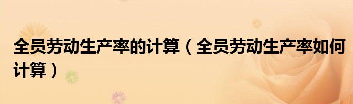 全员劳动生产率的计算（全员劳动生产率如何计算）
