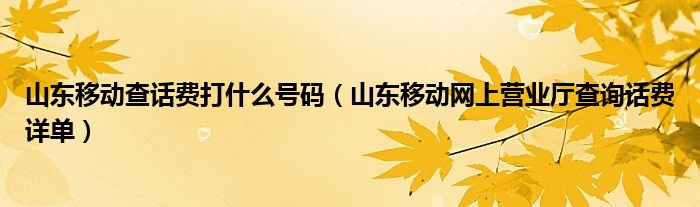 山东移动查话费打什么号码（山东移动网上营业厅查询话费详单）