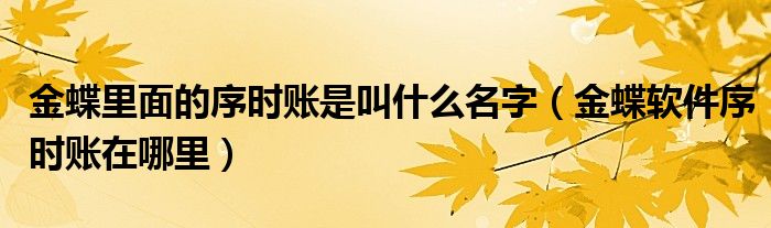 金蝶里面的序时账是叫什么名字（金蝶软件序时账在哪里）
