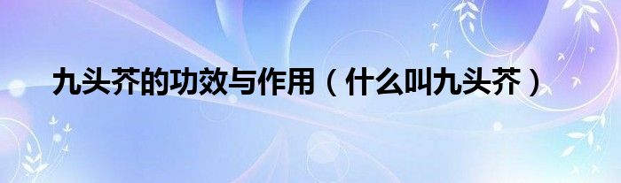 九头芥的功效与作用（什么叫九头芥）
