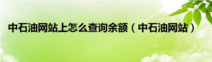 中石油网站上怎么查询余额（中石油网站）