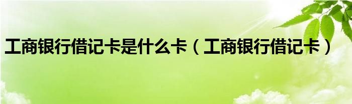 工商银行借记卡是什么卡（工商银行借记卡）