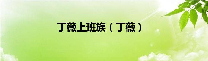丁薇上班族（丁薇）